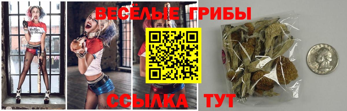 Красногорск  Псилоцибиновые грибы Psilocybe  Вход с VPN 